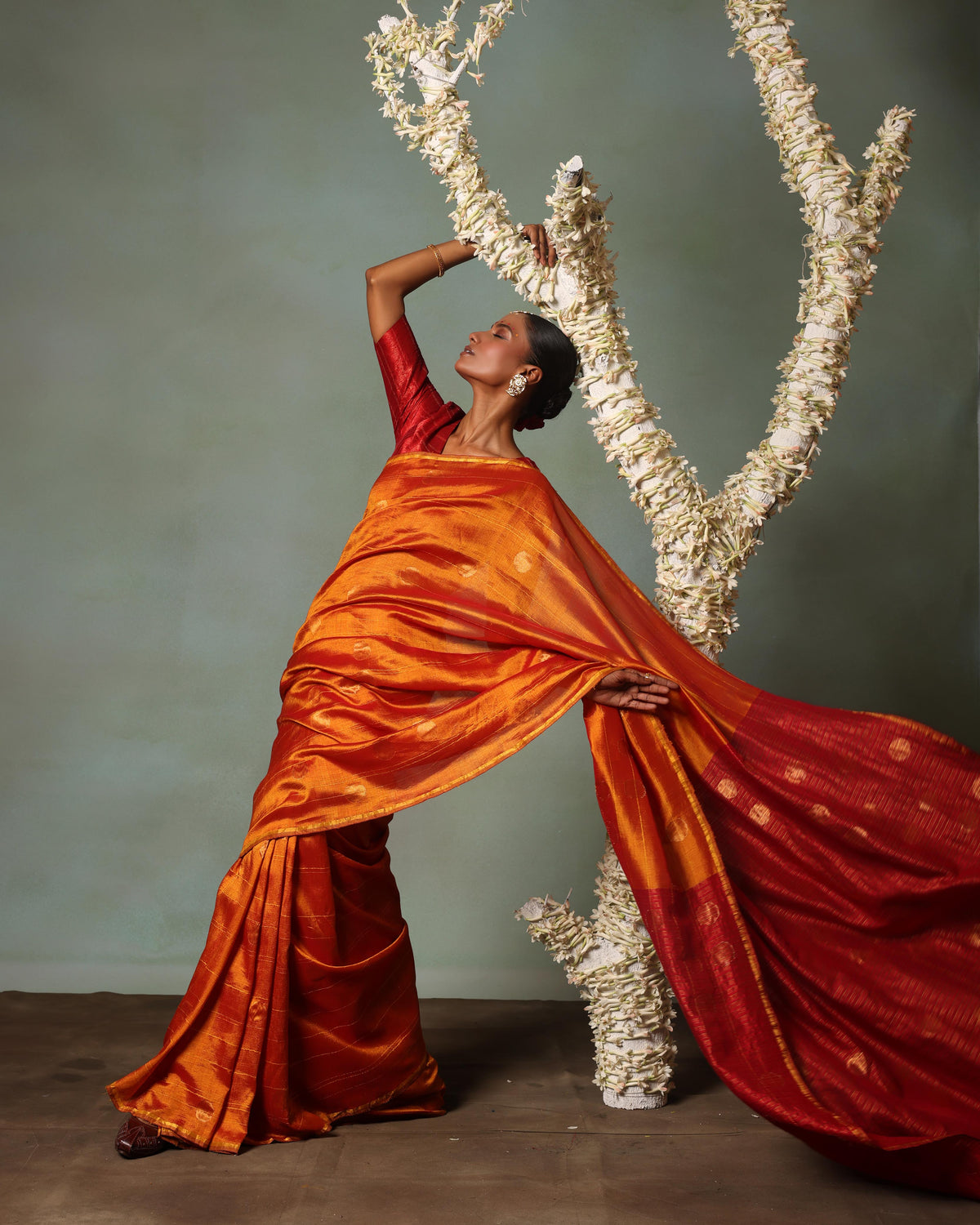 Ananyata Bindu Karnrekha Saree