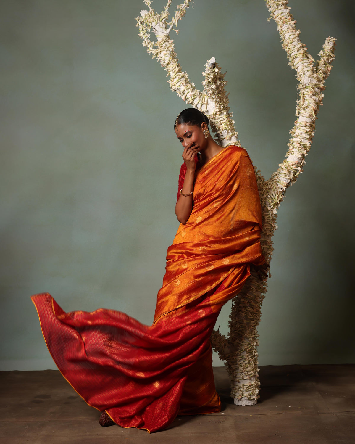 Ananyata Bindu Karnrekha Saree